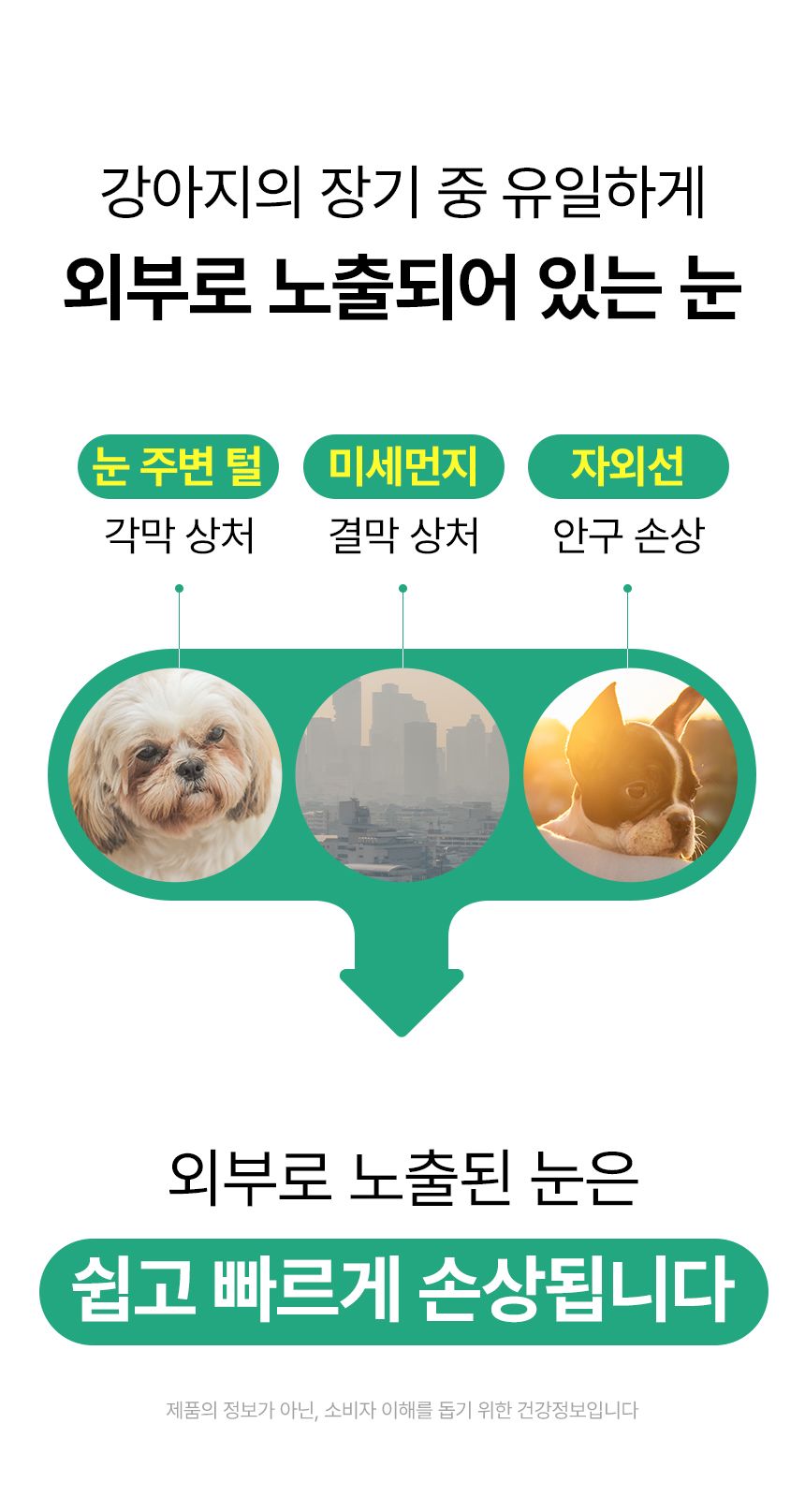 펫생각 독 데일리케얼 리얼루테인 눈 영양제 120g 6번째