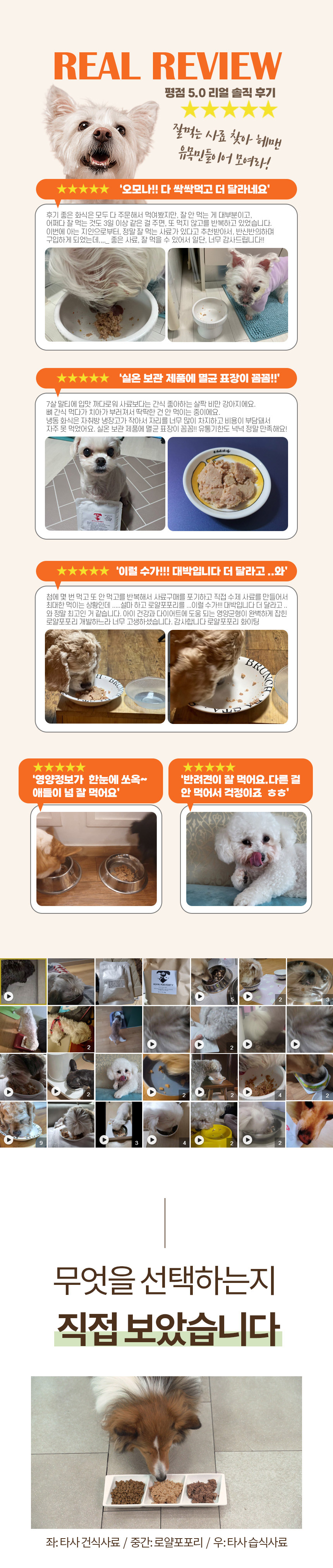 [무료배송] 예펫 독 로얄포포리 습식사료 50g/100g 1번째