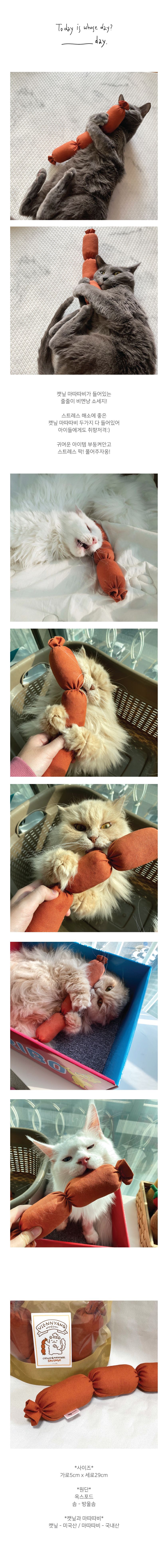 블랭크데이 비엔냥 캣닢 마따따비 쿠션 1번째