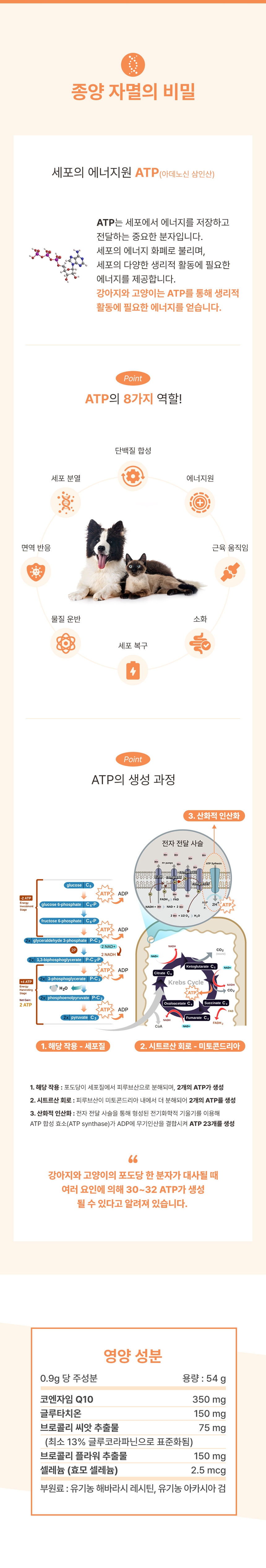 [NEW신상][무료배송] 브랜바인 에이티비 셀벳 천연강심제 (54g) 5번째