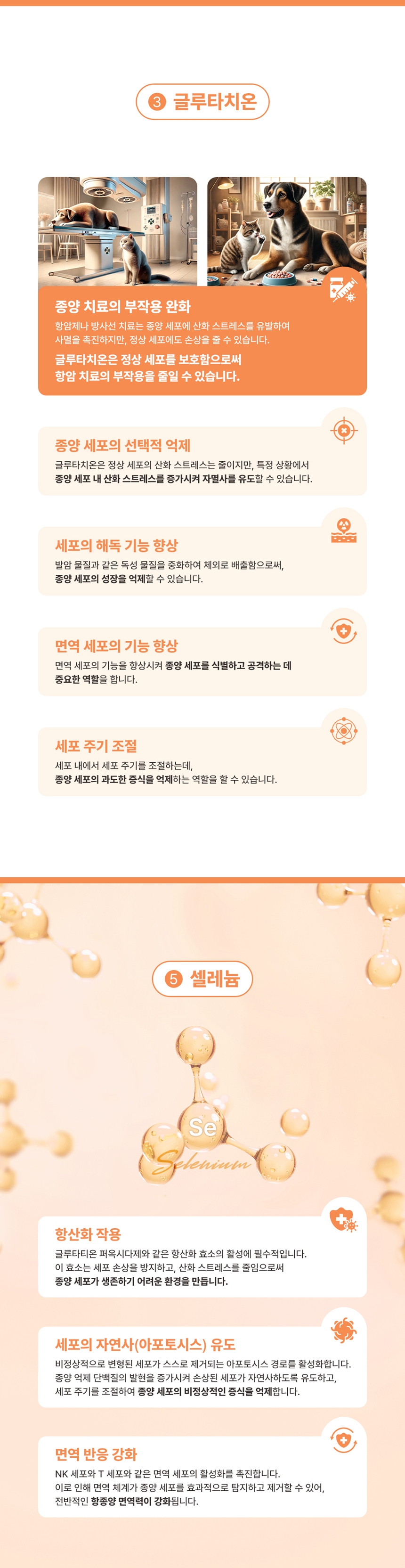 [NEW신상][무료배송] 브랜바인 에이티비 셀벳 천연강심제 (54g) 7번째