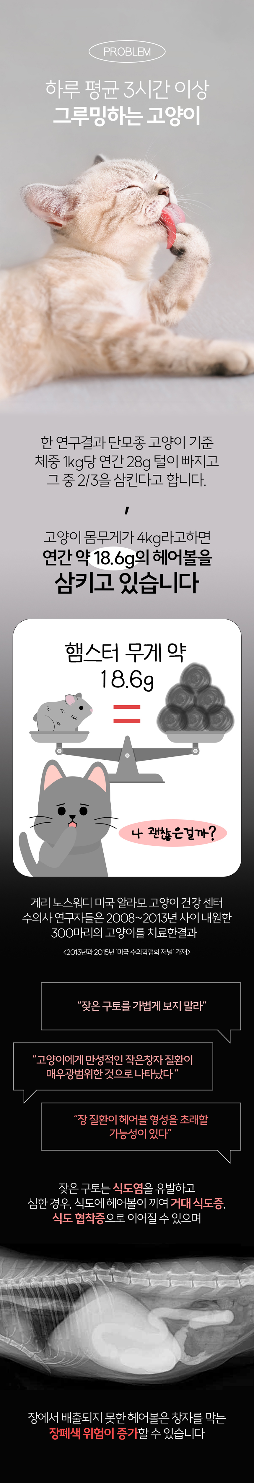[무료배송] 리스펫 캣 하루포캣 헤어볼 10g*30p 1번째