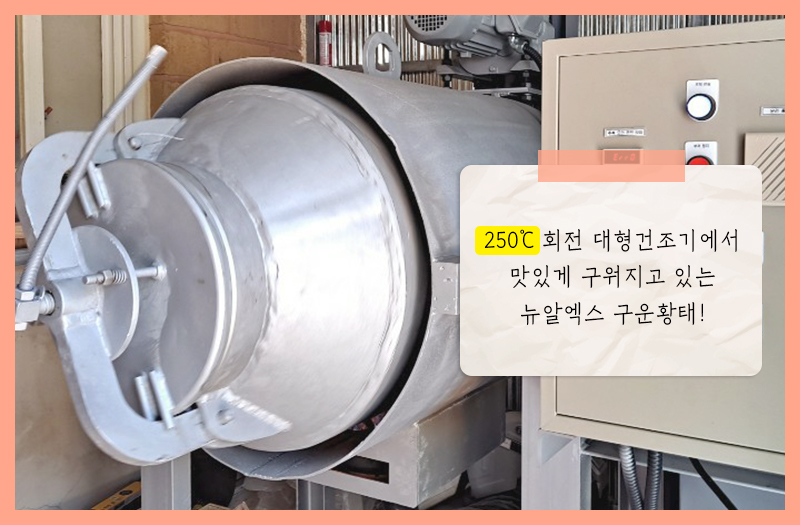 [NEW신상][무료배송] 뉴알엑스 대관령 눈마을 구운 황태 45g 1번째
