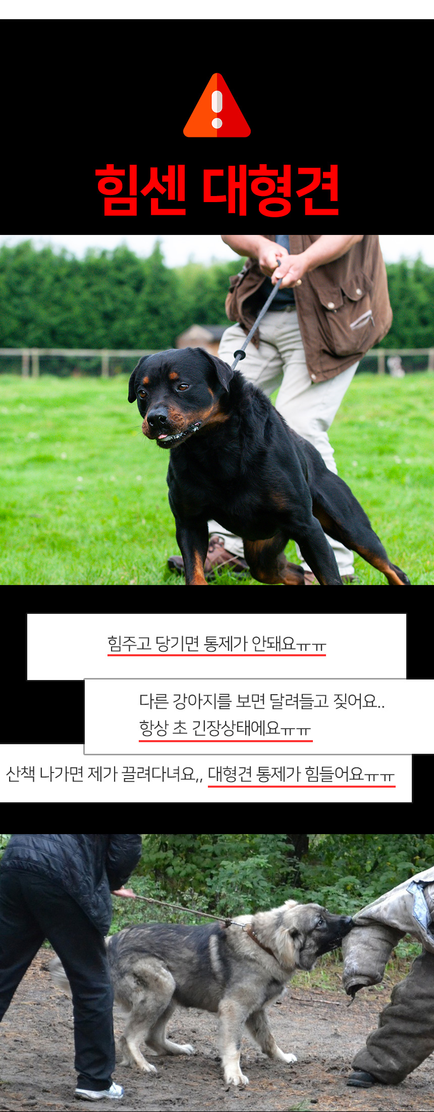 [무료배송] 멍템 숏 리드줄 26cm 레드/블랙 4번째