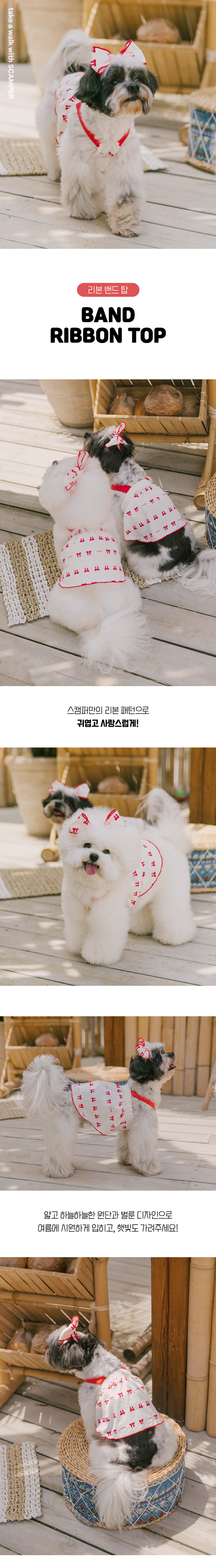 [무료배송] 스캠퍼 밴드 리본 탑 S-2XL 1번째