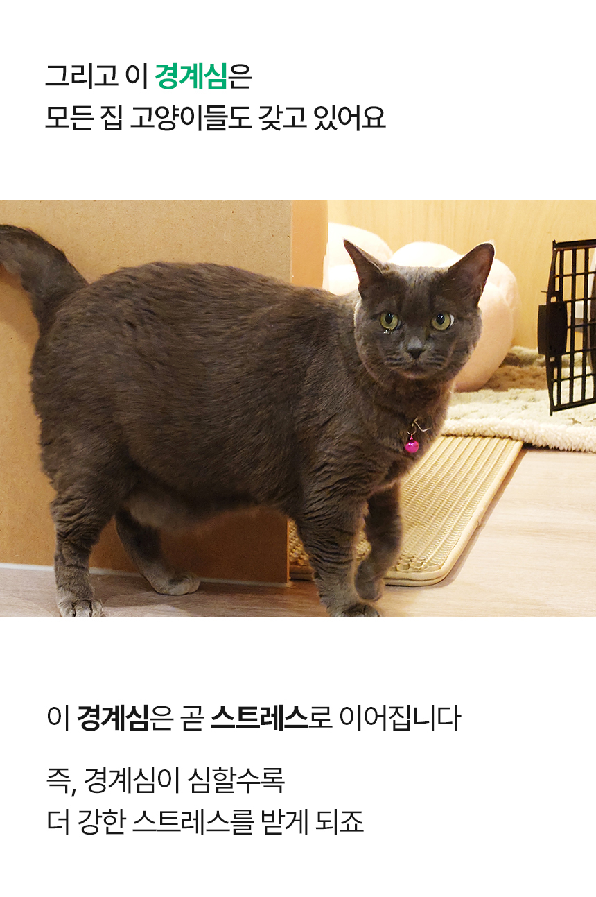 [NEW신상][무료배송] 캣나인 안식처 이너무바 76x46cm 11번째