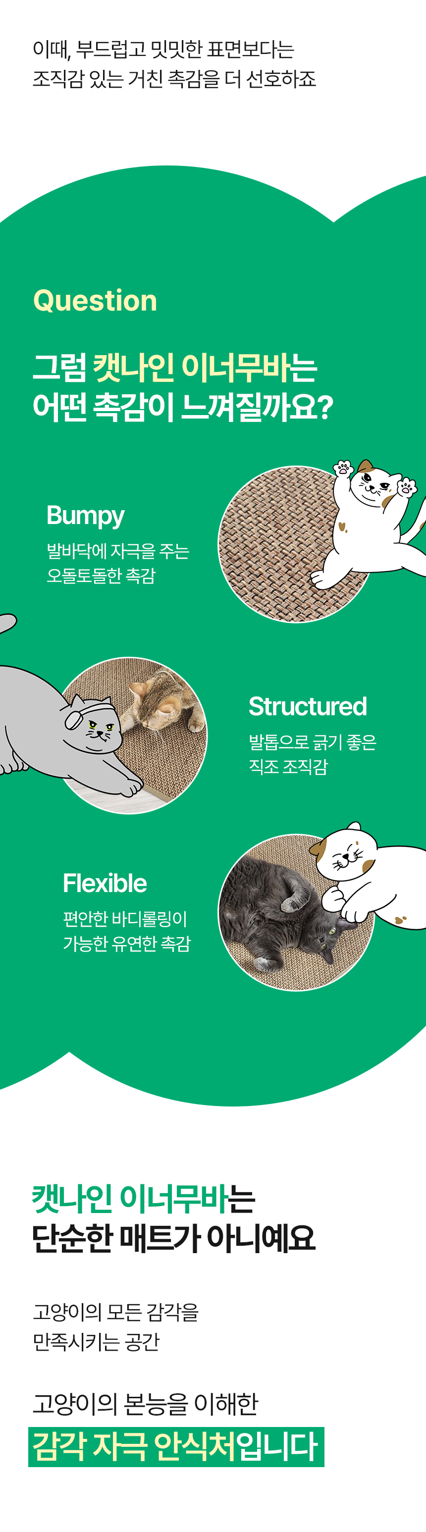 [NEW신상][무료배송] 캣나인 안식처 이너무바 76x46cm 5번째