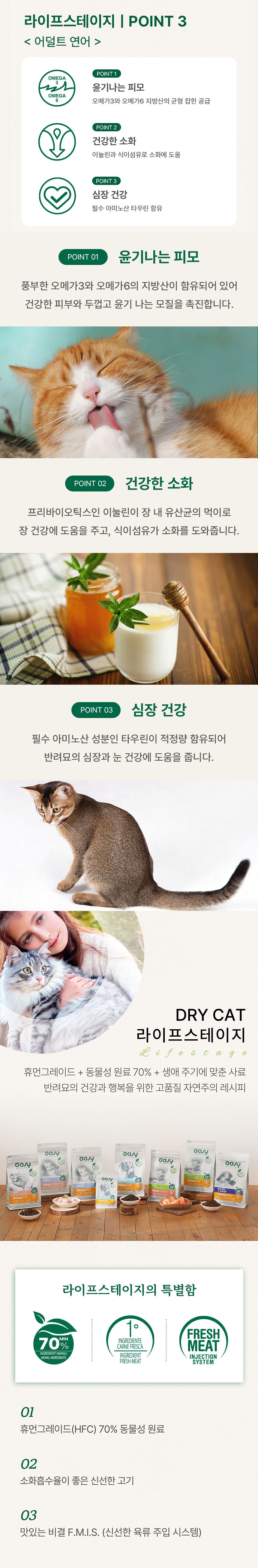 [체험단] 오아지 캣 라이프스테이지 어덜트 연어 40g 3번째 상세 이미지