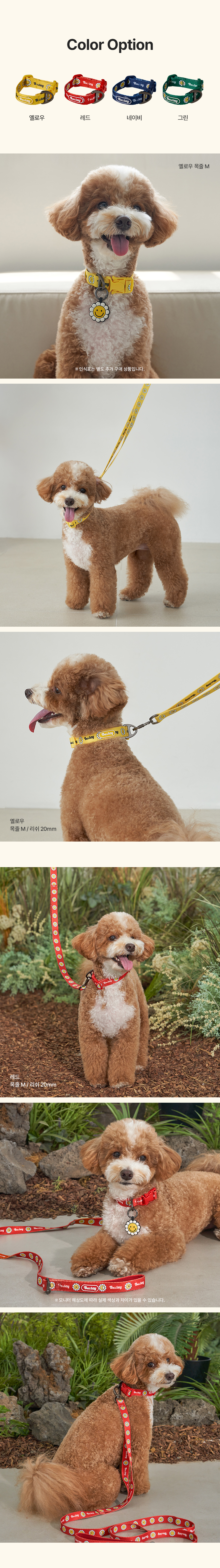 [NEW신상][무료배송] 베일리펫 강아지 소형견 중형견 산책 데이지 워키 목줄 S-L (옐로우/레드/네이비/그린) 4번째
