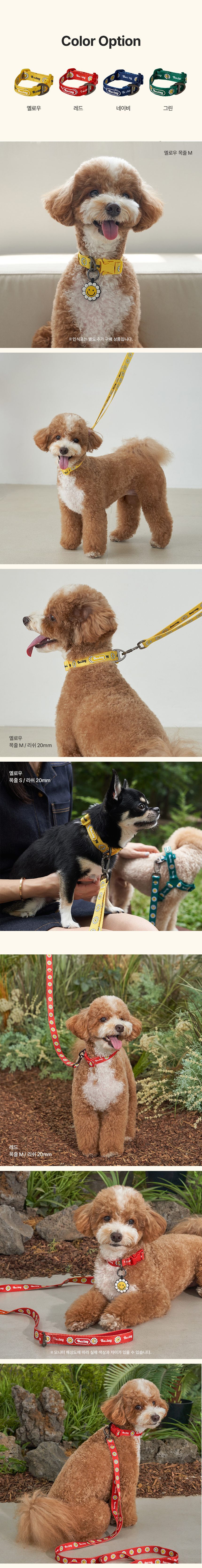 [NEW신상][무료배송] 베일리펫 강아지 소형견 중형견 산책 데이지 워키 목줄 S-L (옐로우/레드/네이비/그린) 4번째