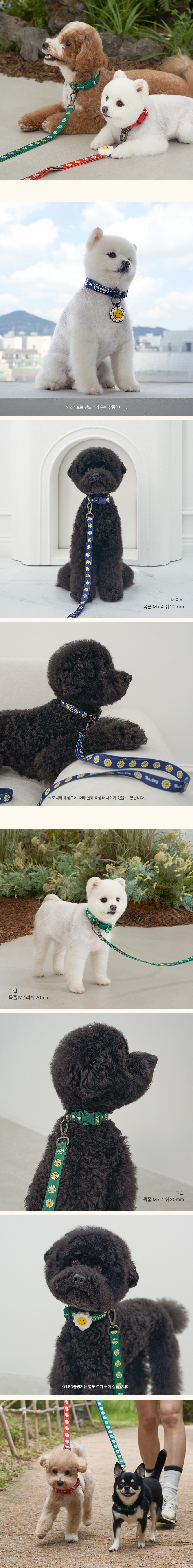 [NEW신상][무료배송] 베일리펫 강아지 소형견 중형견 산책 데이지 워키 목줄 S-L (옐로우/레드/네이비/그린) 5번째