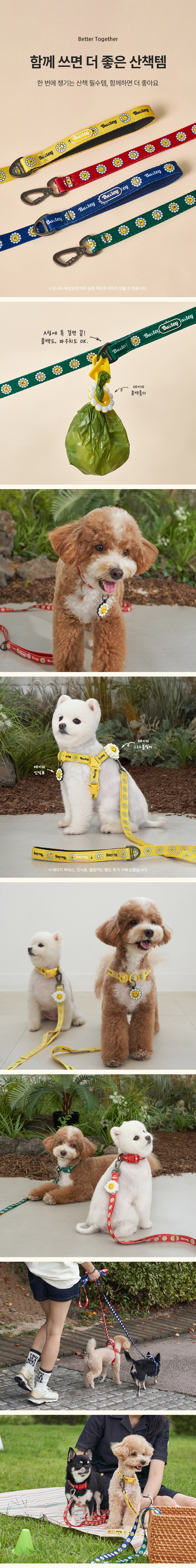 [NEW신상][무료배송] 베일리펫 강아지 소형견 중형견 산책 데이지 워키 목줄 S-L (옐로우/레드/네이비/그린) 6번째