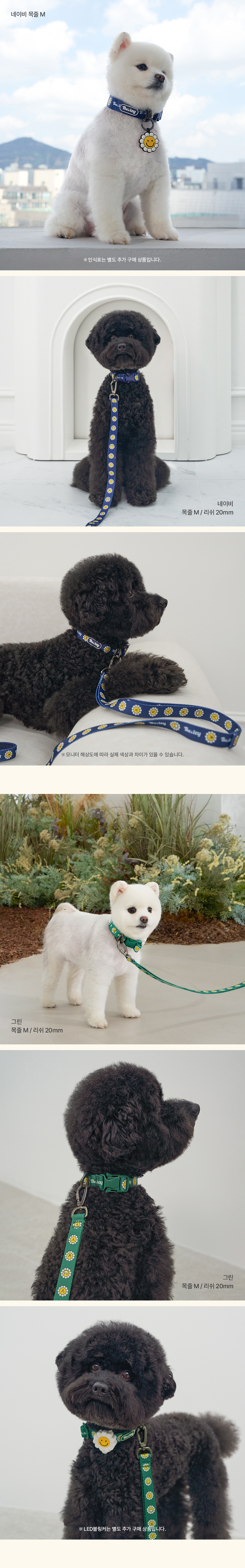 [NEW신상][무료배송] 베일리펫 강아지 소형견 중형견 산책 데이지 워키 목줄 S-L (옐로우/레드/네이비/그린) 5번째