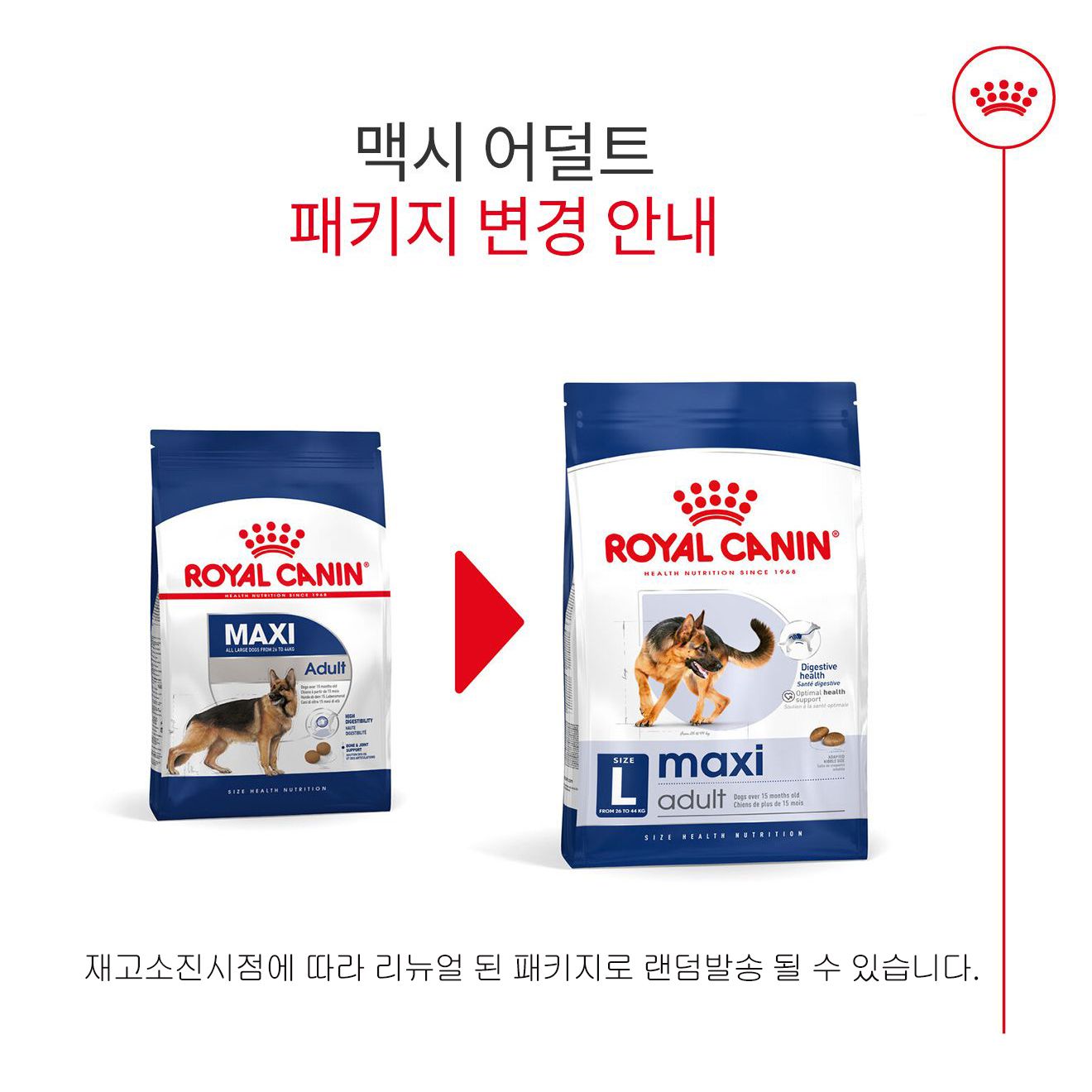 [사전예약] 로얄캐닌 독 맥시 어덜트 10kg 대형견 관절건강 1번째