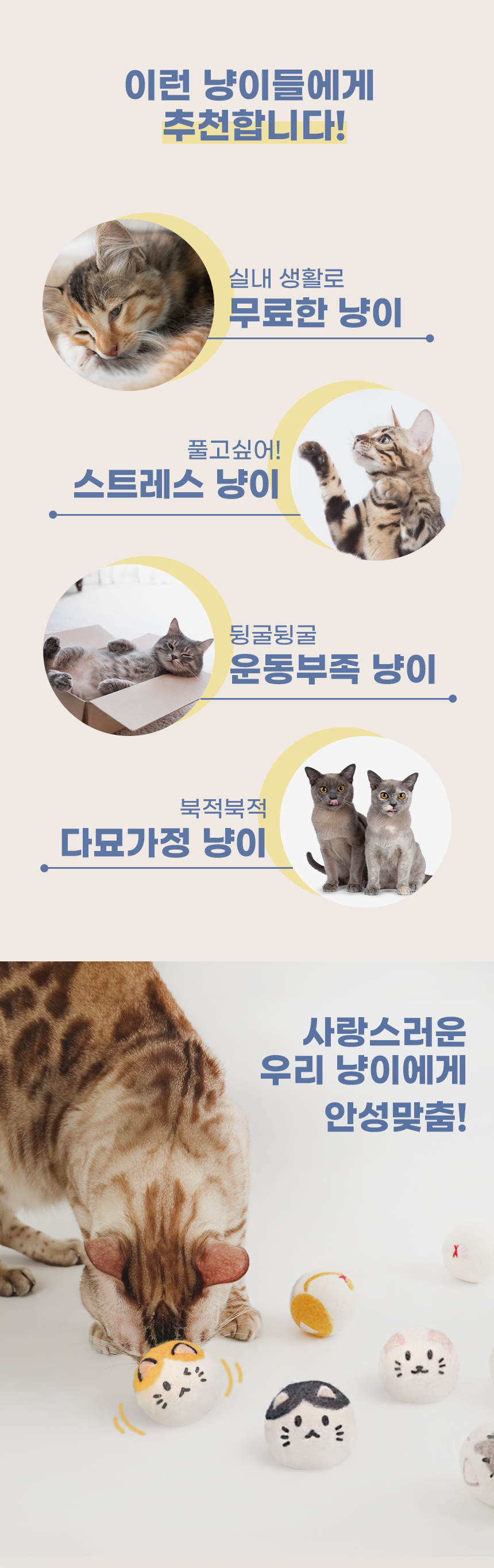 [심쿵펫페어]내꼬냥 냥표 캣볼 시즌 2  3번째