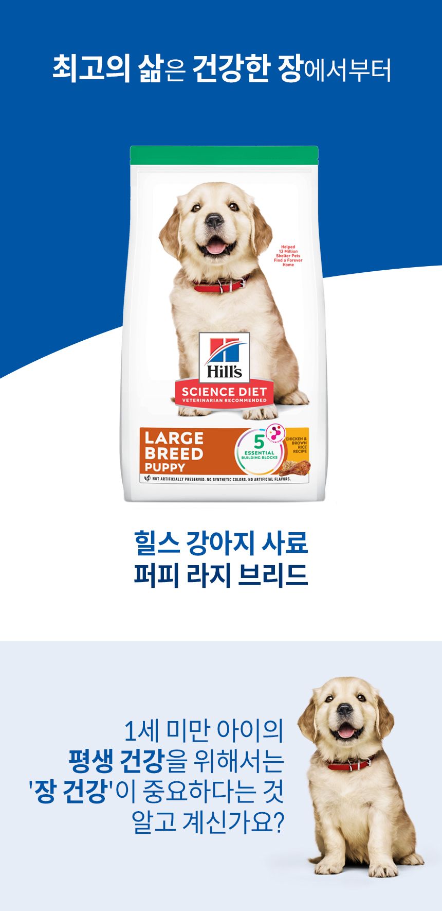 힐스 독 퍼피 라지브리드 치킨 모음 1번째