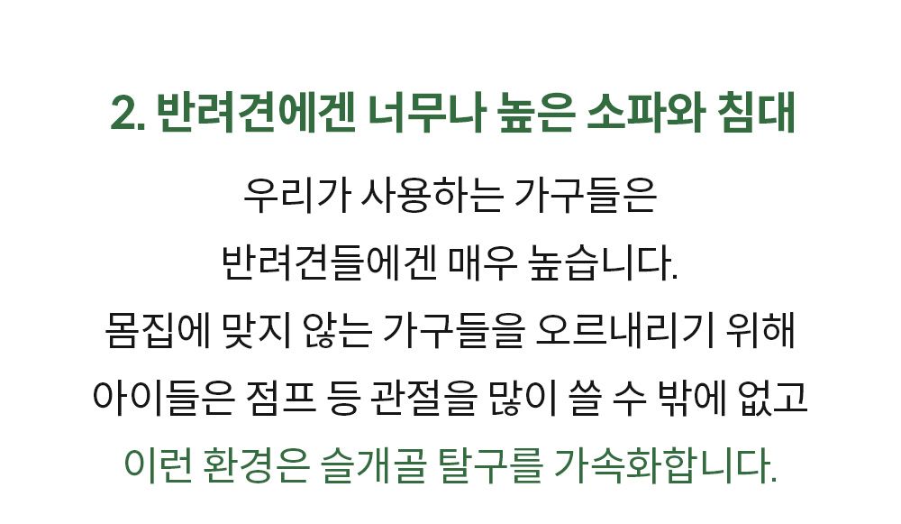 [추가증정] 미펫 낼름 관절 30매입 + 10매입 증정  4번째