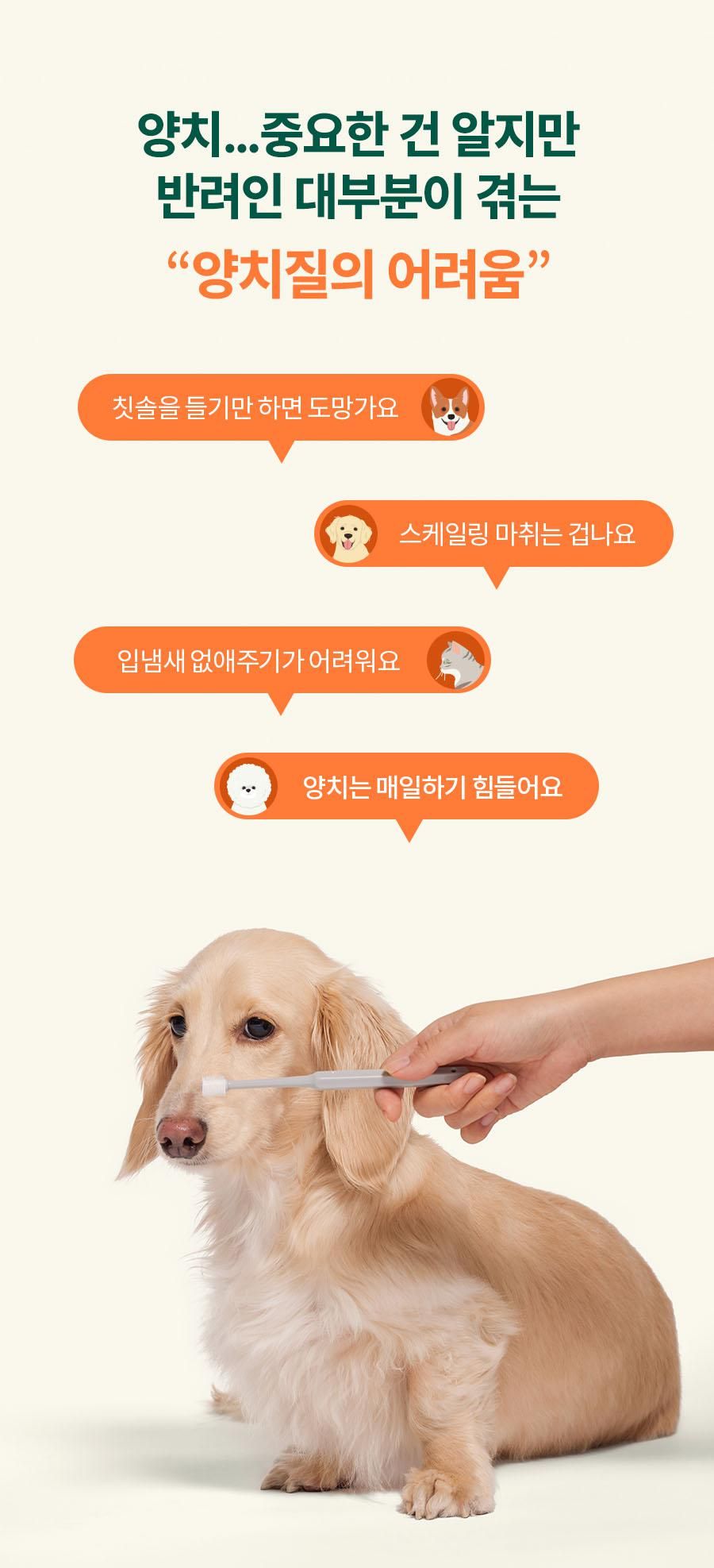 [유통기한임박, 25년9월16일] 플라고 파우더 45g 11번째