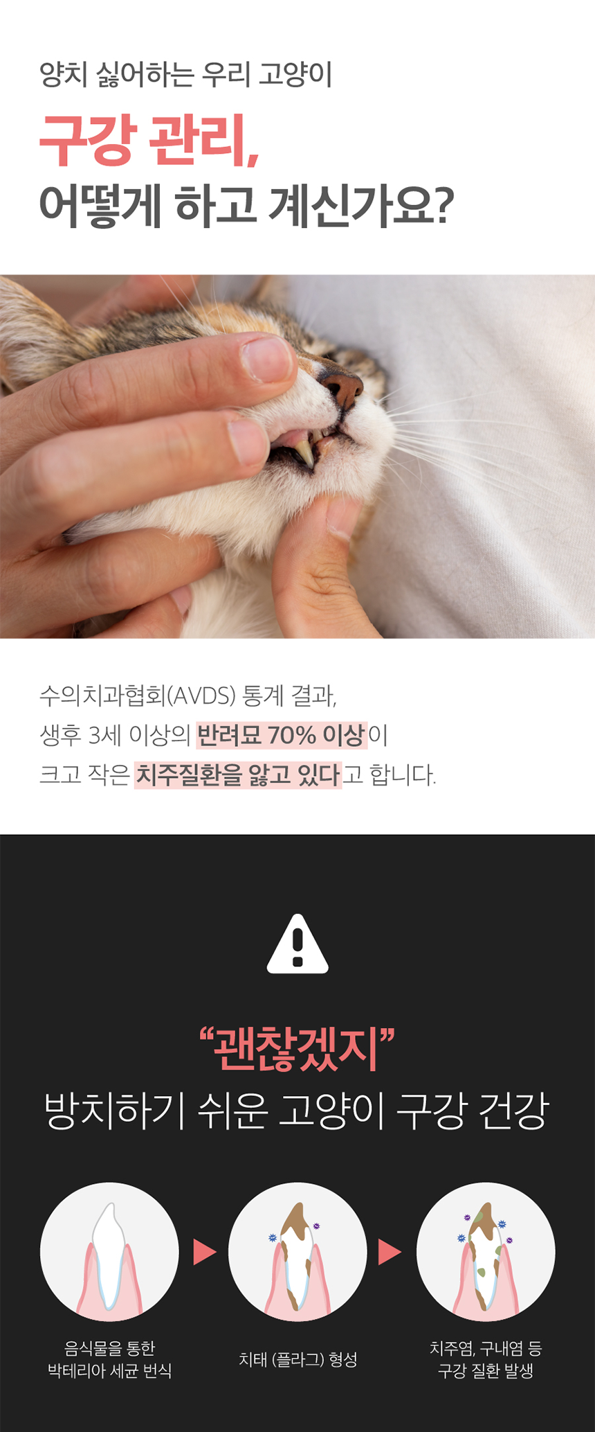 [무료배송] 프렌냥 덴탈 밸런스 닭고기맛 80g 2번째