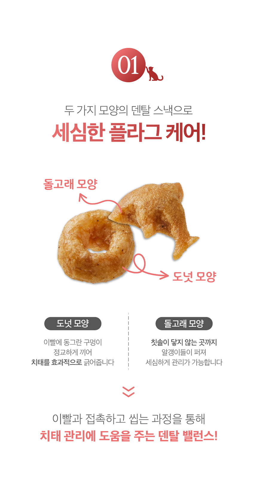 [무료배송] 프렌냥 덴탈 밸런스 닭고기맛 80g 6번째