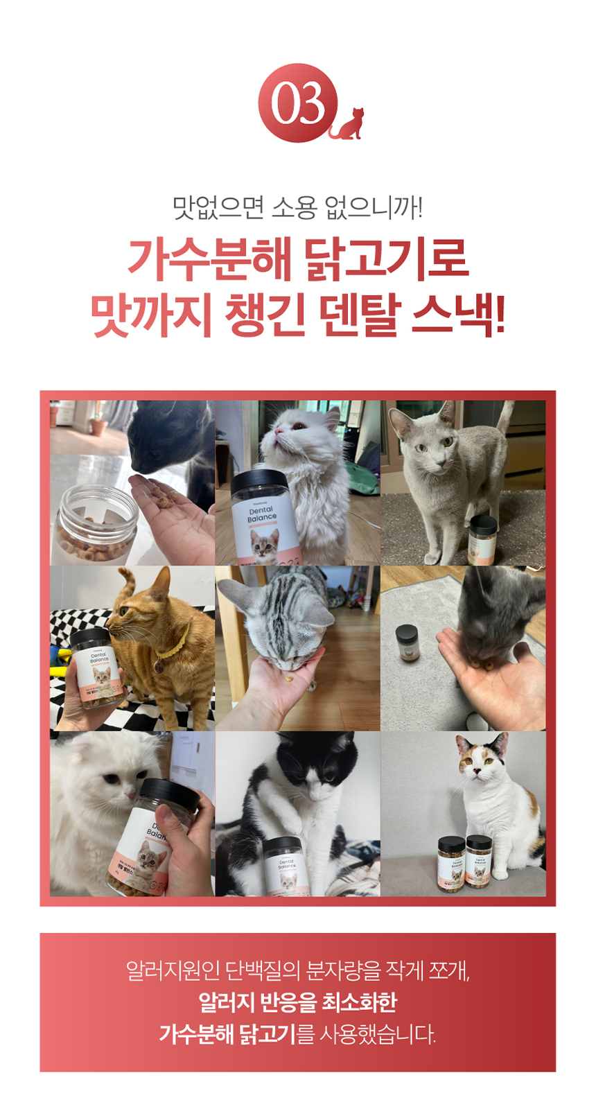 [무료배송] 프렌냥 덴탈 밸런스 닭고기맛 80g 9번째