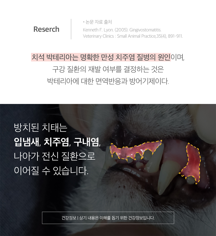 [무료배송] 프렌냥 덴탈 밸런스 닭고기맛 80g 3번째