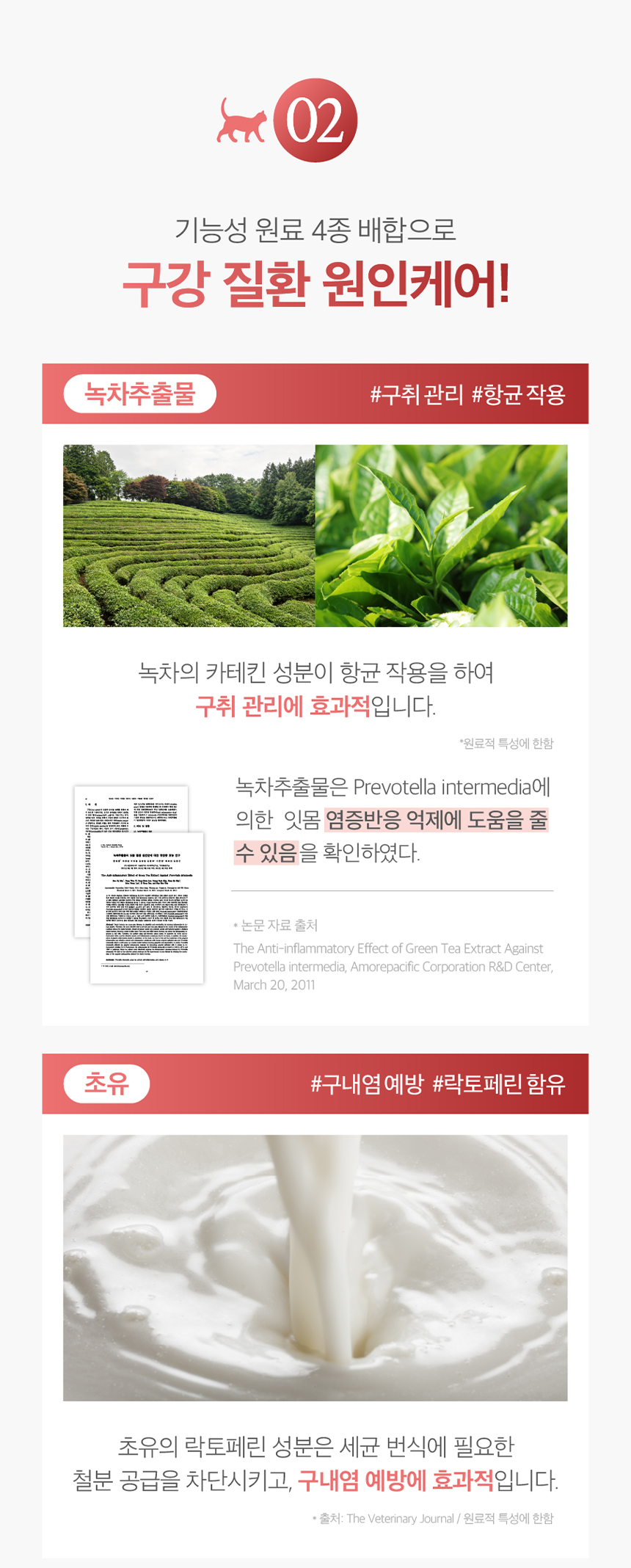 [무료배송] 프렌냥 덴탈 밸런스 닭고기맛 80g 7번째