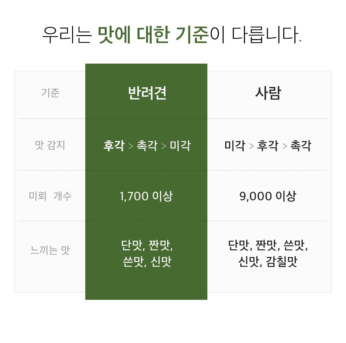 [무료배송] 그리너지 독 인섹트 솔루션 조인트 케어 1.6kg 7번째