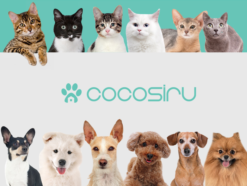 [핑프특가][무료배송] 코코시루 가는입자 프리미엄 벤토나이트 무향 7L  2번째