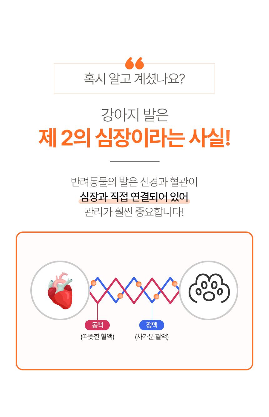 [무료배송] 프루티바스켓 독 캐롯 수딩 풋크림 50ml 4번째
