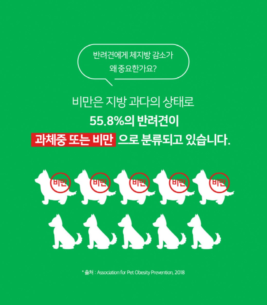 [무료배송] 프롬더셀 어덜트 액티브 라인 성견 영양제 3g*30정 13번째