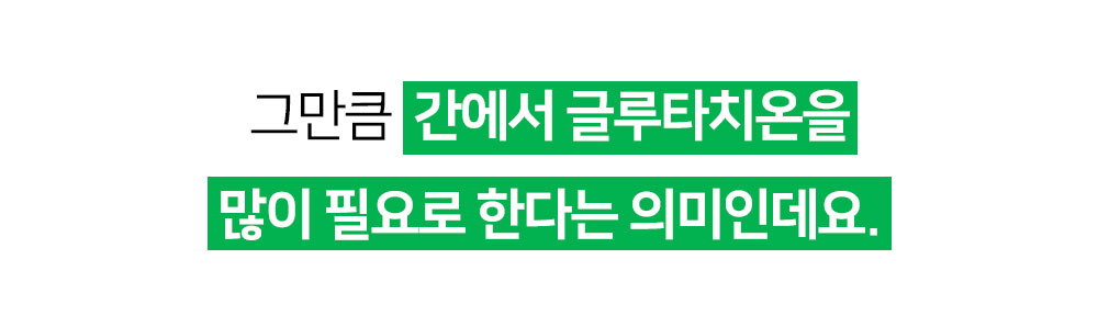 [무료배송] 프롬더셀 어덜트 액티브 라인 성견 영양제 3g*30정 20번째