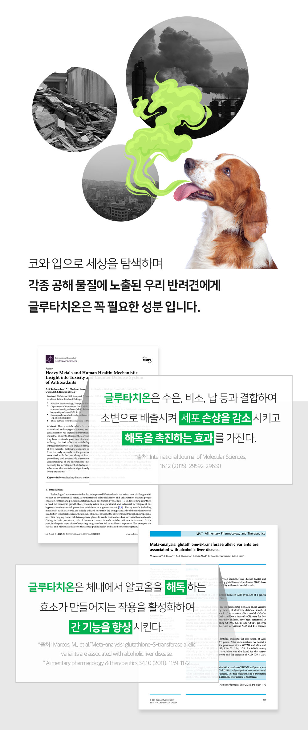 [무료배송] 프롬더셀 어덜트 액티브 라인 성견 영양제 3g*30정 23번째