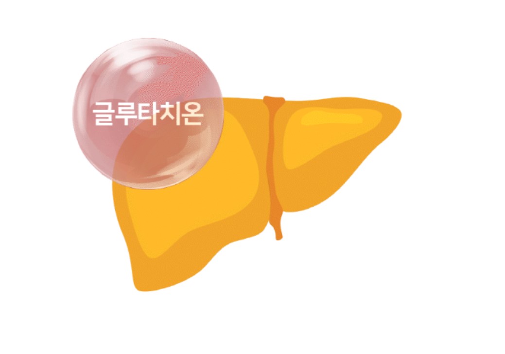 [무료배송] 프롬더셀 어덜트 액티브 라인 성견 영양제 3g*30정 21번째