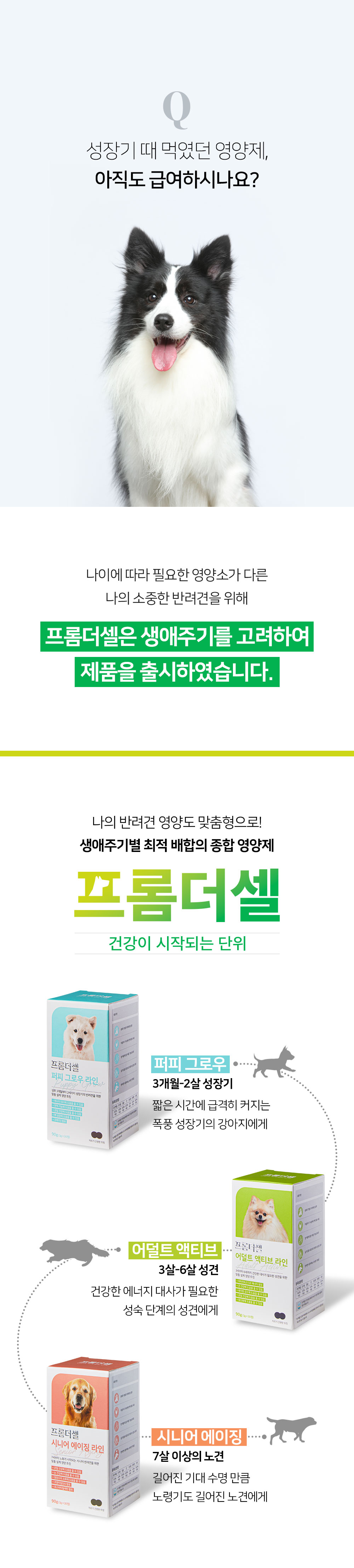 [무료배송] 프롬더셀 어덜트 액티브 라인 성견 영양제 3g*30정 4번째