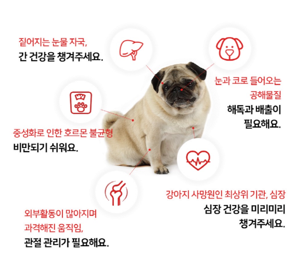 [무료배송] 프롬더셀 어덜트 액티브 라인 성견 영양제 3g*30정 7번째