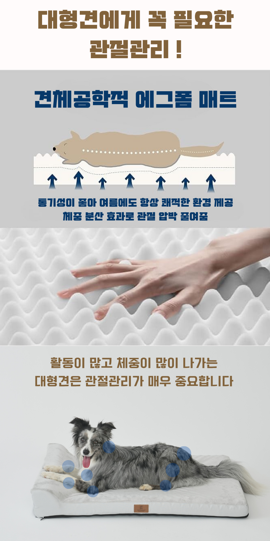 [NEW신상][무료배송] 펫앤마마 대형견 목 베개 사각방석 2종 (그레이/진그레이) L~2XL 2번째