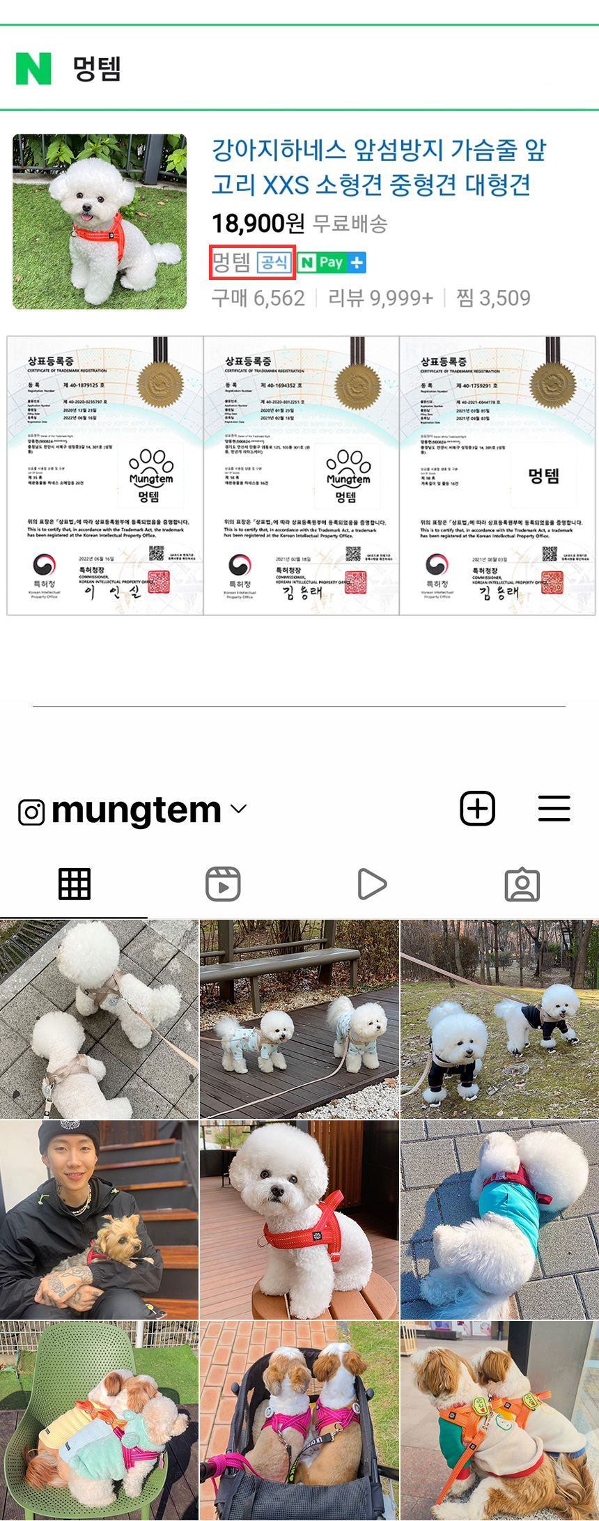 [무료배송] 멍템 메쉬 목줄 레드/핑크/오렌지/그린/블루/블랙/베이지  XXS-2XL 3번째