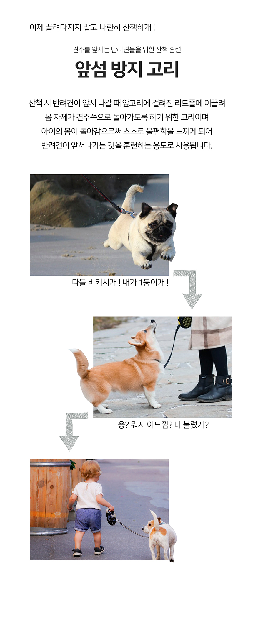 [무료배송] 니즈더펫 인터라켄 커스텀 앞섬방지 앞고리 가슴줄 20번째