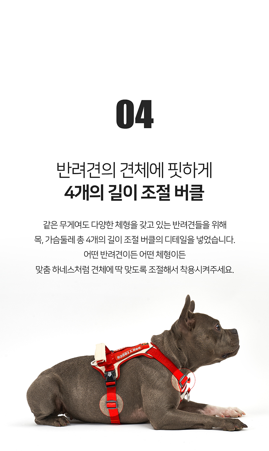 [무료배송] 니즈더펫 인터라켄 슬림2.0 하네스 32번째