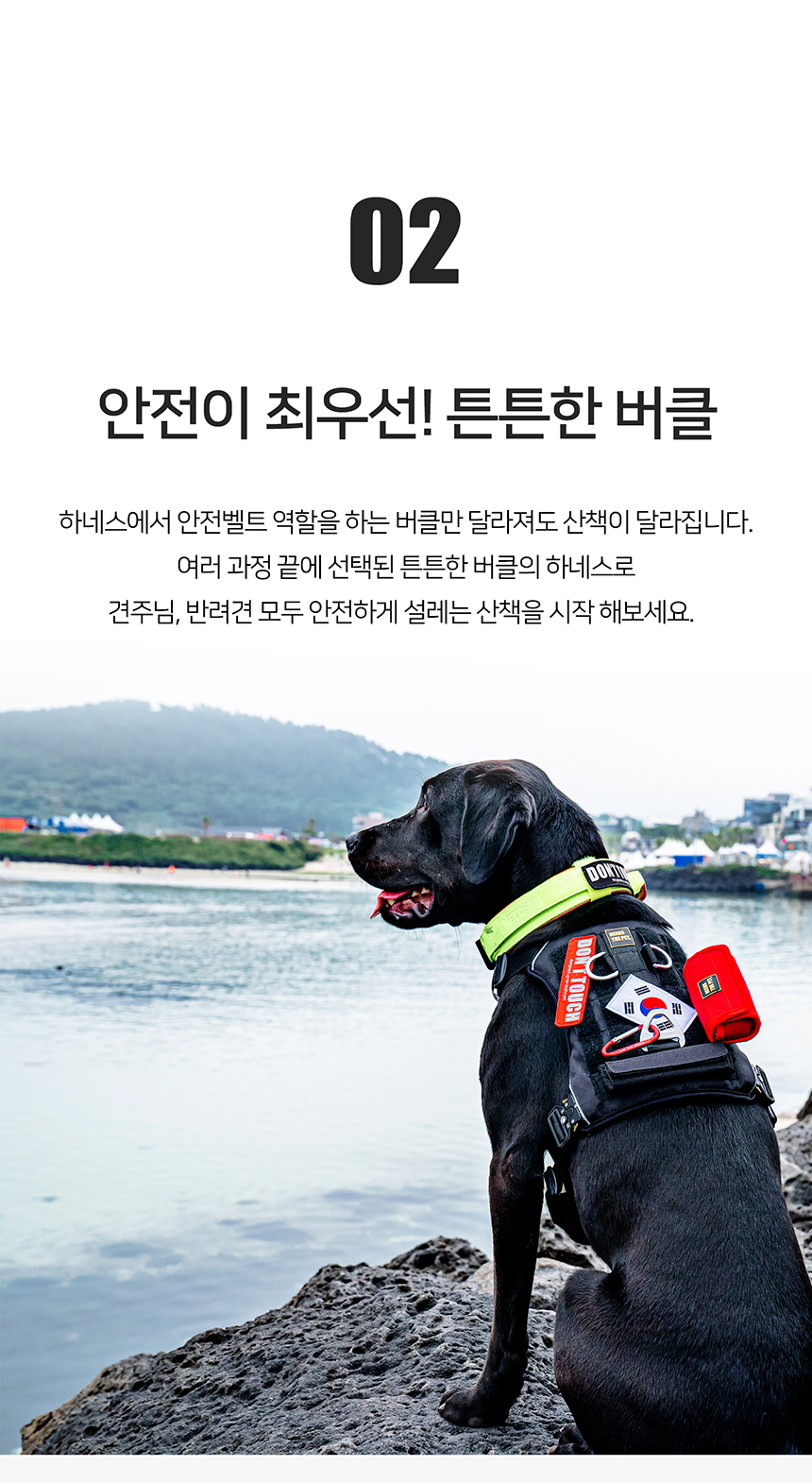 [무료배송] 니즈더펫 인터라켄 커스텀 앞섬방지 앞고리 가슴줄 13번째