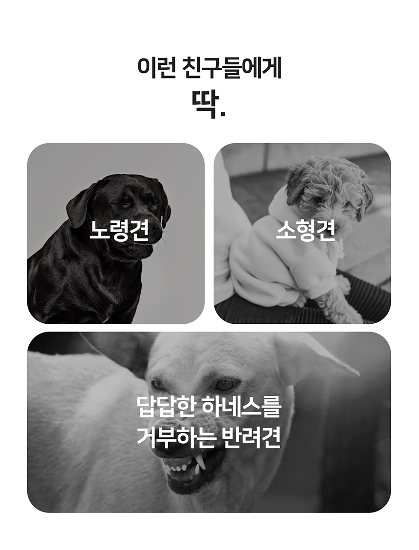 [무료배송] 니즈더펫 인터라켄 슬림2.0 하네스 16번째