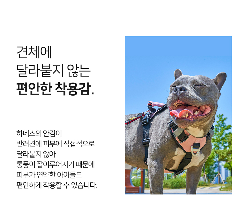 [무료배송] 니즈더펫 인터라켄 슬림2.0 하네스 38번째