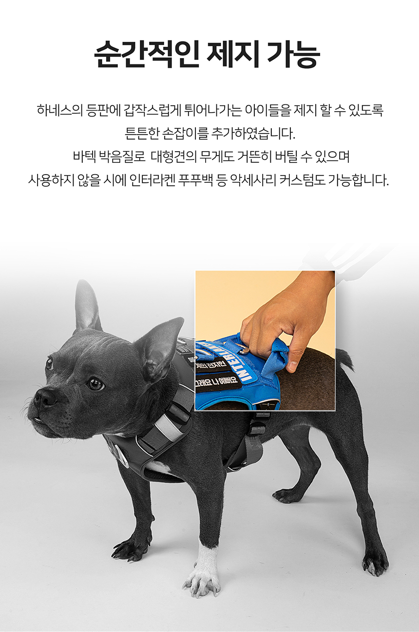 [무료배송] 니즈더펫 인터라켄 커스텀 앞섬방지 앞고리 가슴줄 26번째