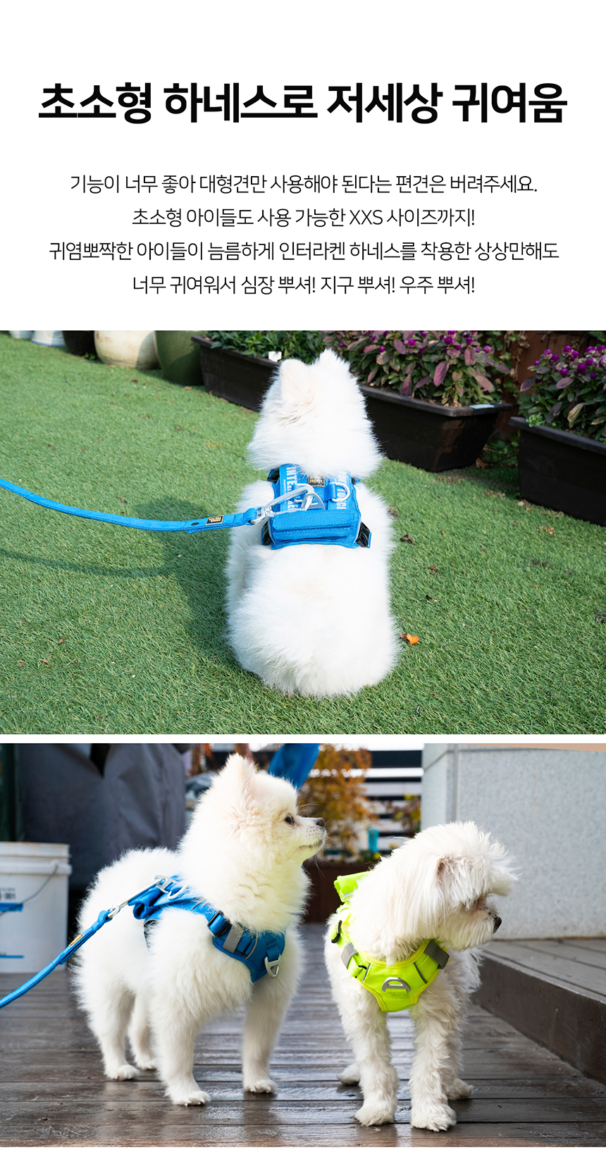 [무료배송] 니즈더펫 인터라켄 커스텀 앞섬방지 앞고리 가슴줄 31번째