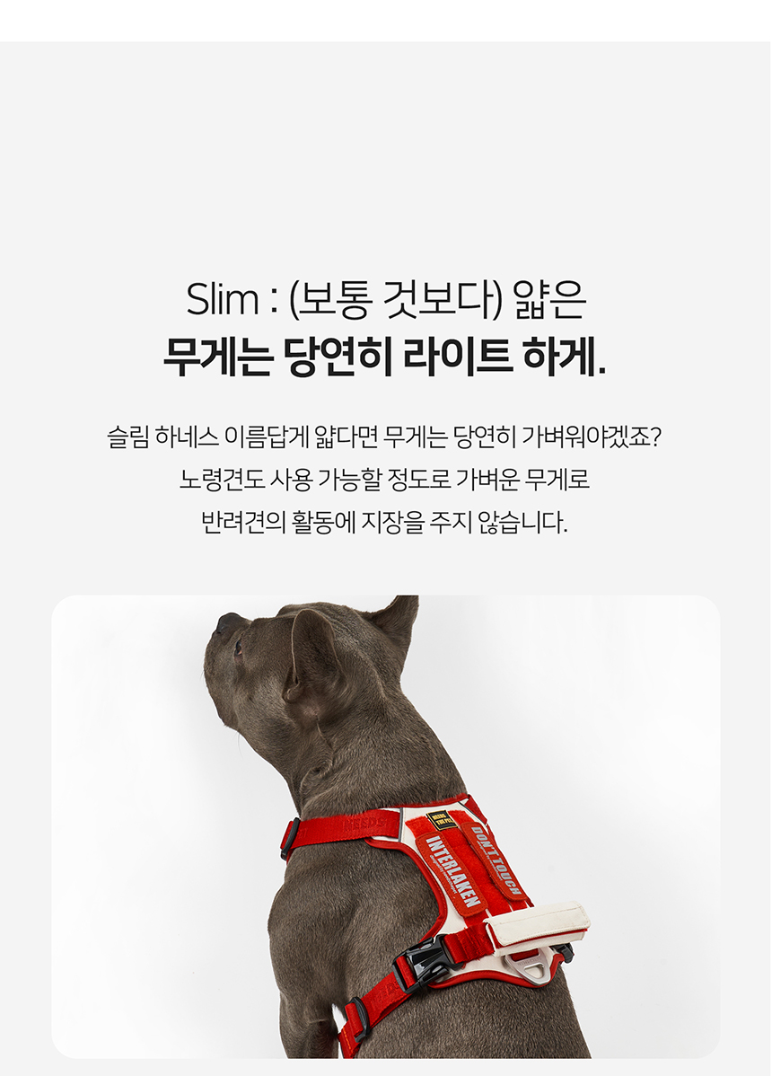 [무료배송] 니즈더펫 인터라켄 슬림2.0 하네스 14번째