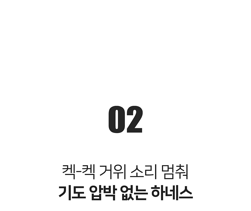 [무료배송] 니즈더펫 인터라켄 슬림2.0 하네스 17번째