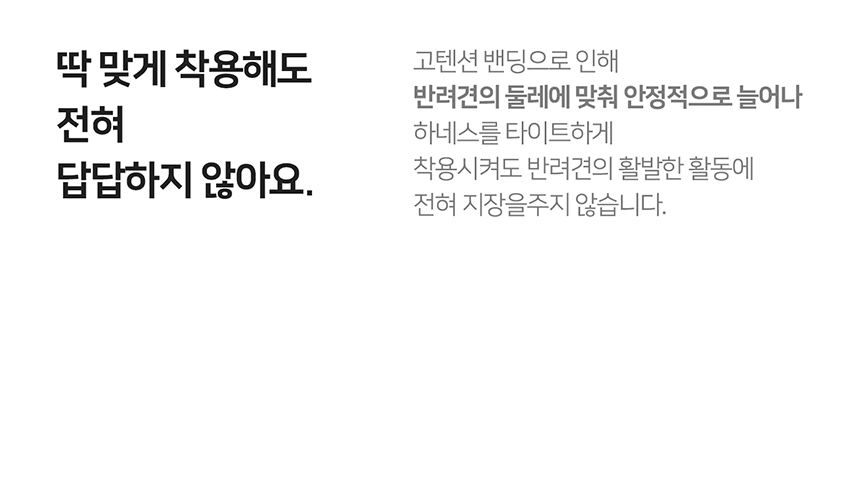[무료배송] 니즈더펫 인터라켄 슬림2.0 하네스 26번째
