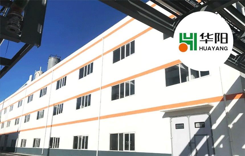 [NEW신상][무료배송] 라이펫 진정성 CA 카르니틴 아르기닌 당뇨 다이어트 영양제 2gX30포 11번째