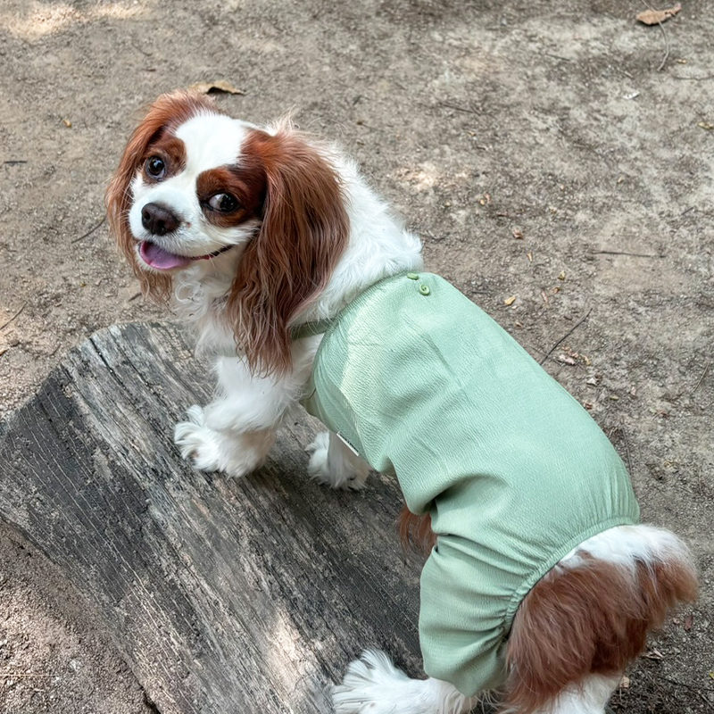 [무료배송] 해피댕댕 끈나시쿨올인원 S - 2XL 5번째